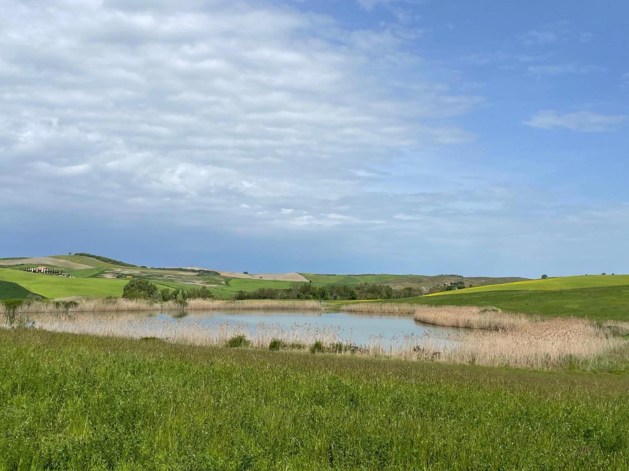 Agriturismo Le Sorbelle D'Orcia Con Piscina Pienza Zewnętrze zdjęcie